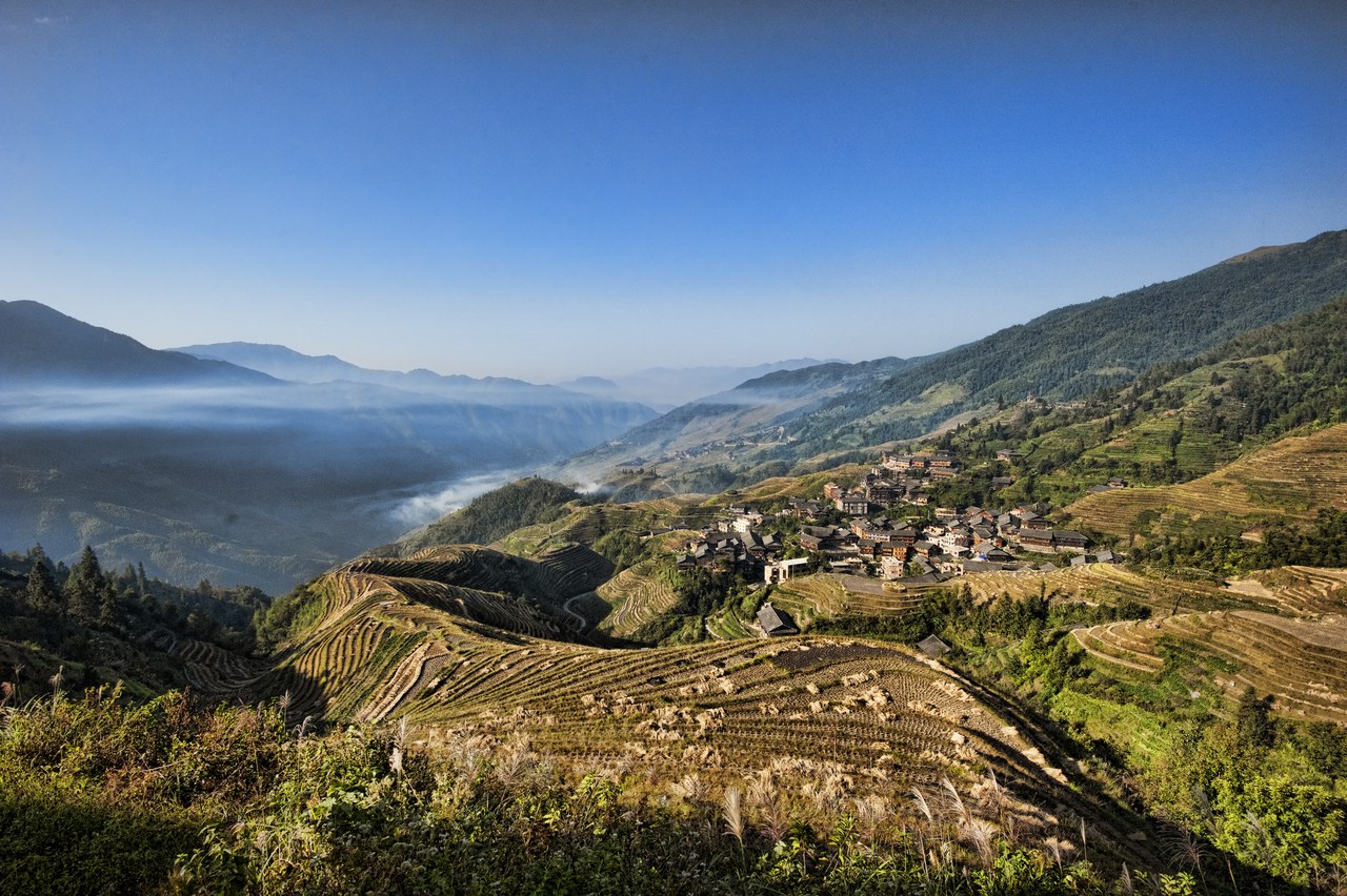 Curved rice terraces and Ping’an village below wooded mountain slopes, with cloud lying in the Longji valleys.