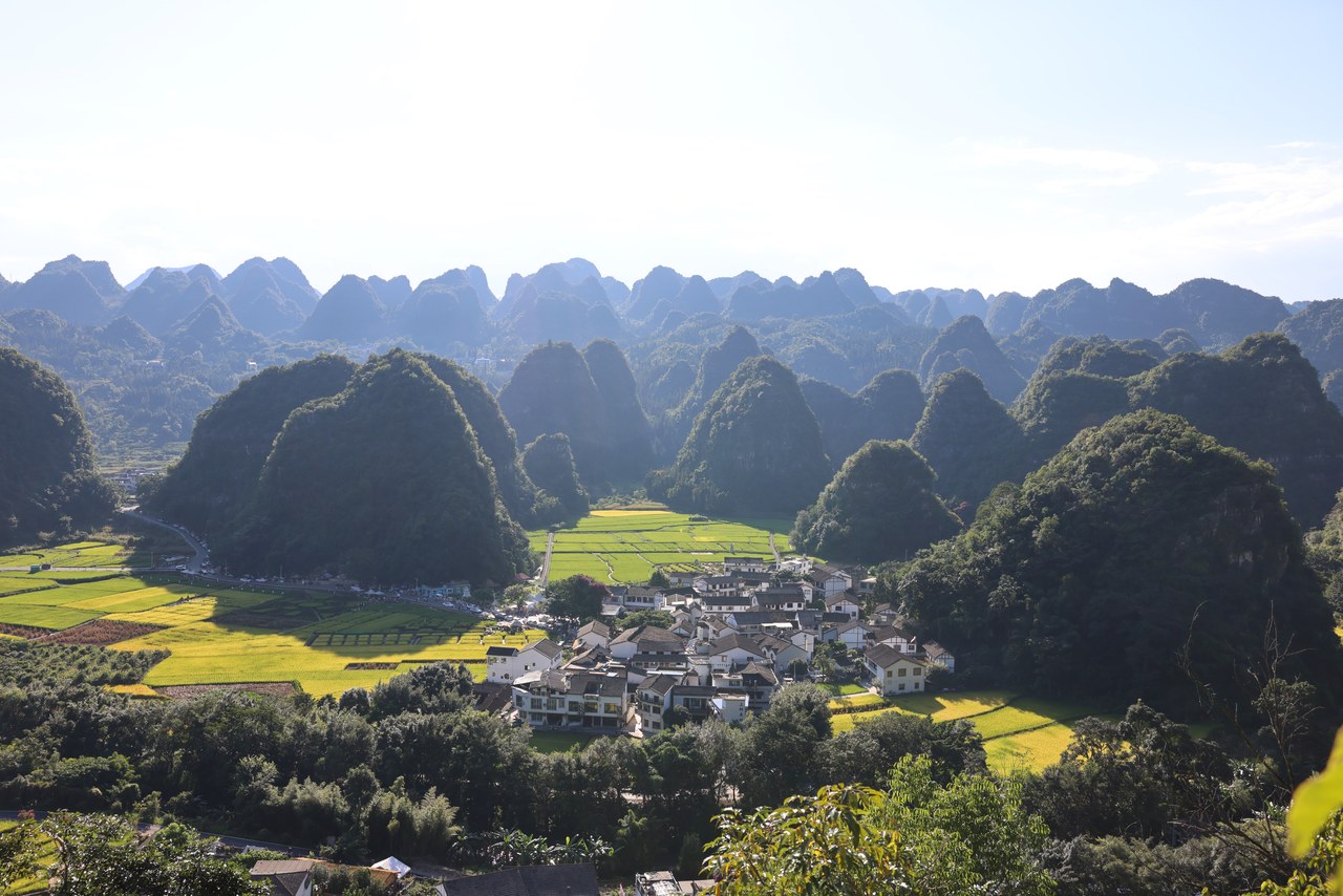A village and yellow-green fields among rounded limestone peaks in the Shangnahui area of Wanfenglin, Xingyi.