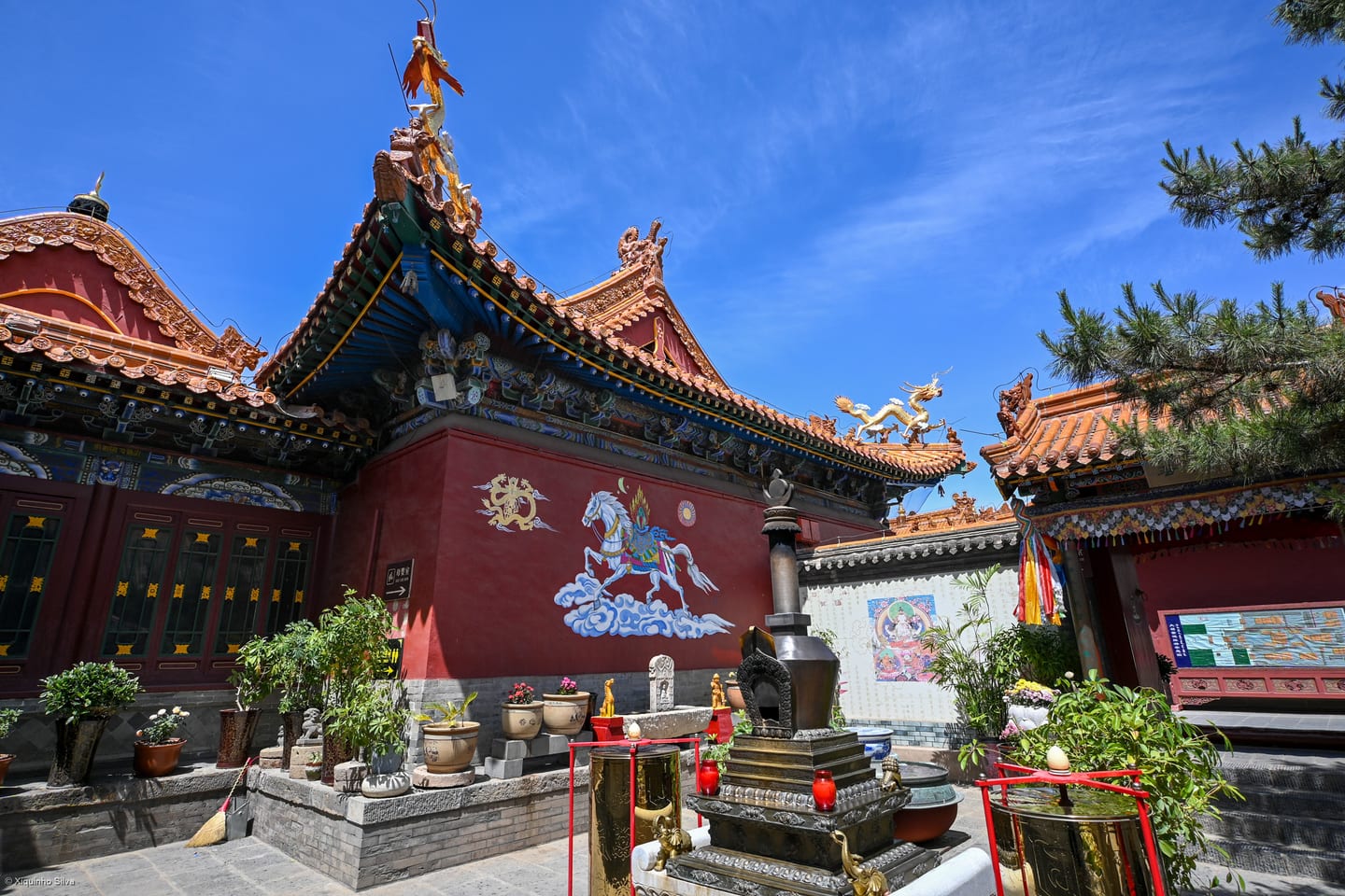 Dazhao Temple's richly decorated buildings beneath a blue sky in Hohhot.