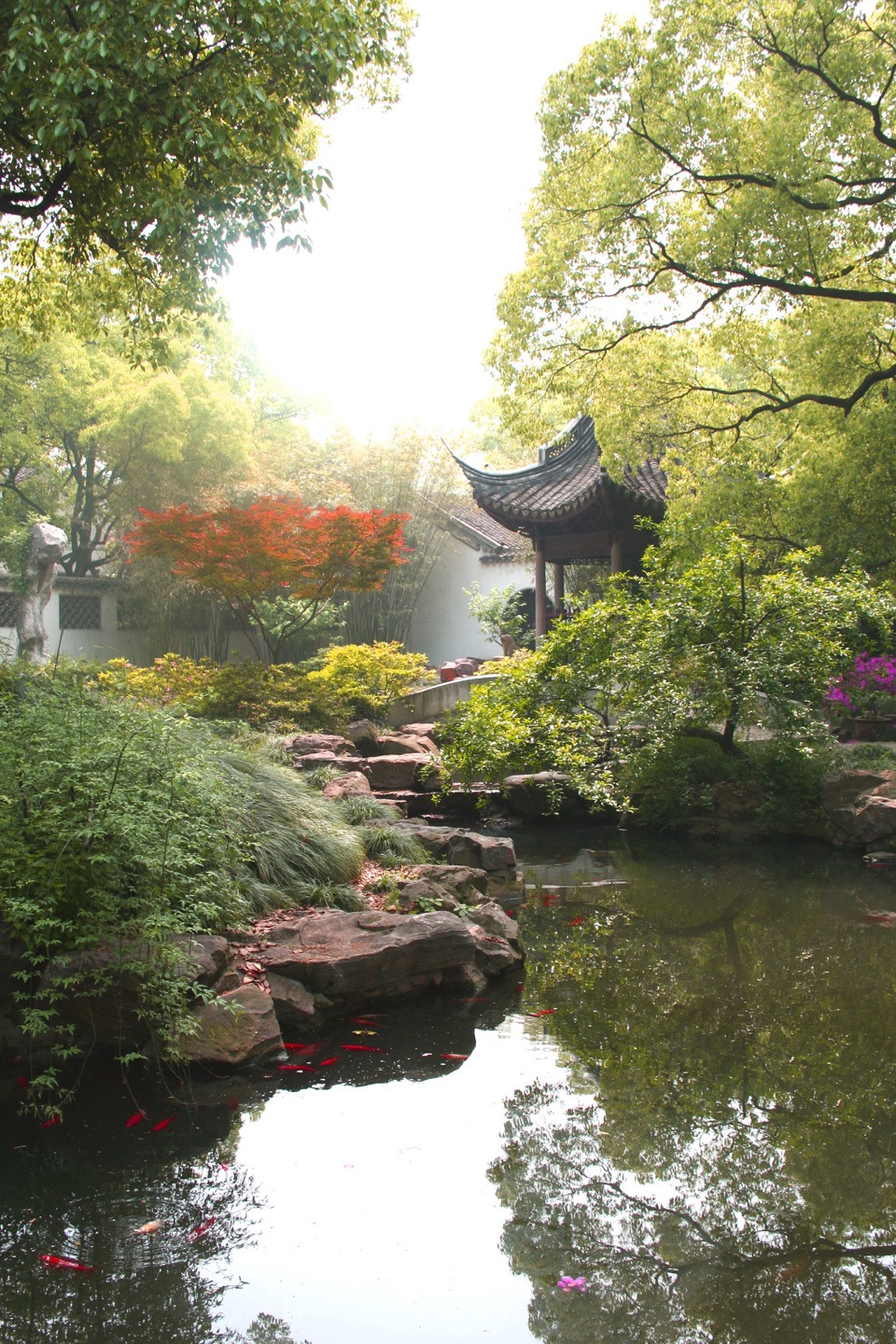 A curved pavilion roof, rocks, foliage and a reflecting pool at Jichang Garden in Wuxi.